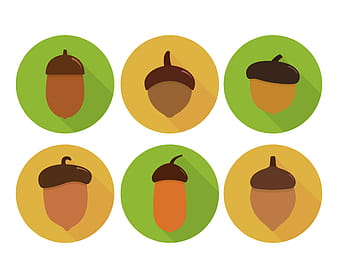 Acorn Vector eps svg