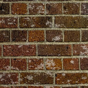 Grunge brick wall texture eps vector