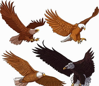 Eagle icons flying gesture cartoon sketch ai eps vector