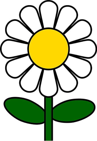 Daisy svg vector