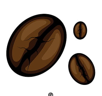 coffee beans vector image ai eps