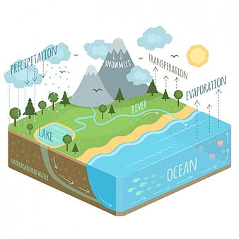 Water Cycle Diagram eps vector
