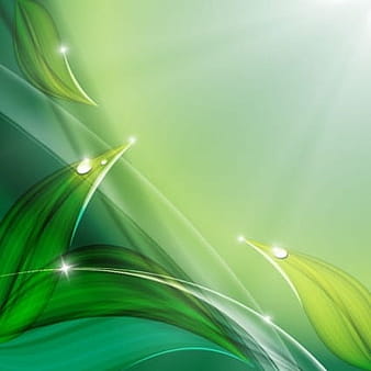 Green leaves with water drop eco background eps vector