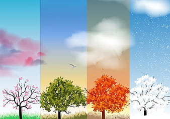 Tree with four seasons vector material  eps