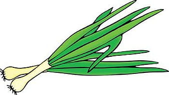 Leeks 1 ai vector