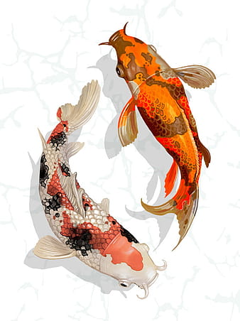 Dos peces Koi japoneses nadando eps