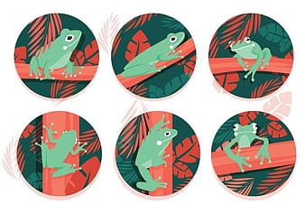 Green Tree Frog Vectors eps