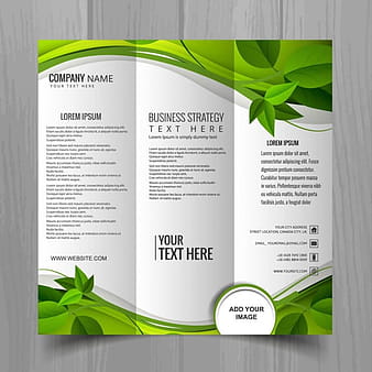 Folleto con plantas y líneas onduladas verdes. eps