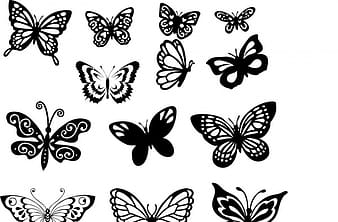 Butterfly set free cdr vectors art cdr