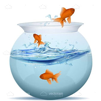 Tangki ikan eps