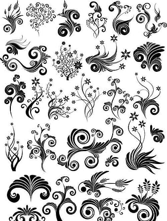 Vector de elementos de adornos de remolino floral 1 ai