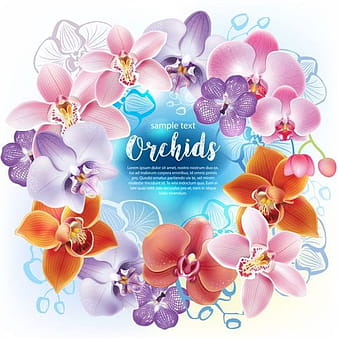 Beautiful orchids flowers vector backgrounds  eps