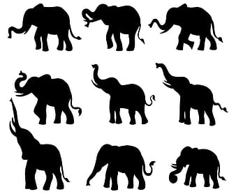 Free elephant silhouette Icons Vector eps