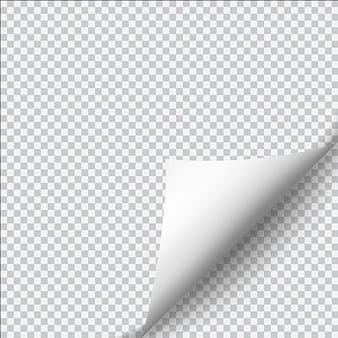 Blank curled paper corner vector material  eps