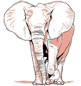 Free Elephant