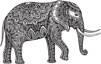 Floral elephant vectors eps