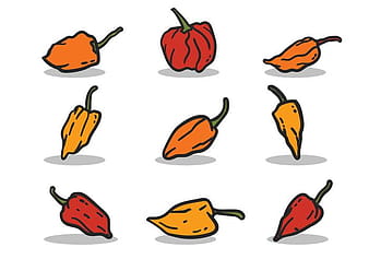 Habanero vector set svg eps