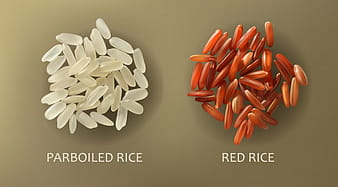 White parboiled and red cargo rice eps vector