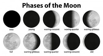 Phases of the Moon eps vector