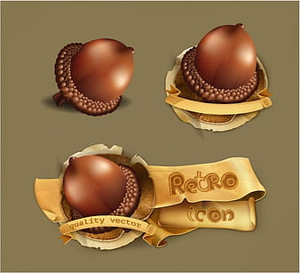Acorn eps ai vector