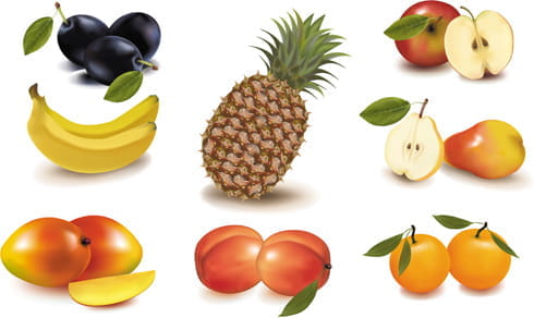Different fruit elements vector set eps
