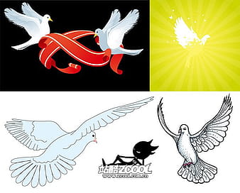 4 Pigeon eps vector
