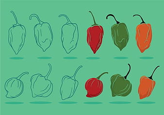Habanero vector set svg eps