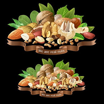 Vector illustration mix of different types nuts eps