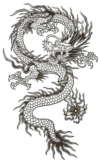 Chinese dragon vector material