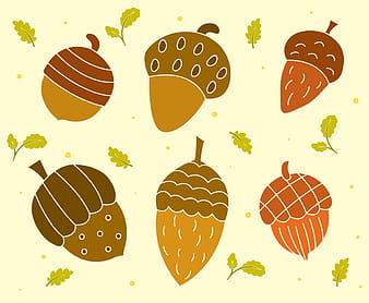 Acorn Collection Vector Set eps svg