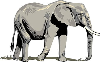 Elephant svg vector
