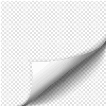 Blank curled paper corner vector material  eps