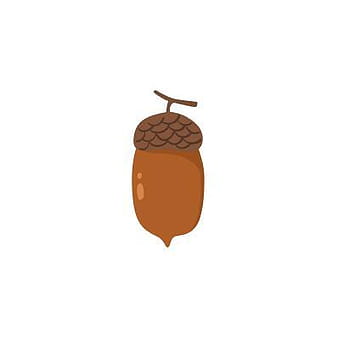 Acorn vector eps