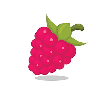prediseñadas de vector de frambuesa ai eps