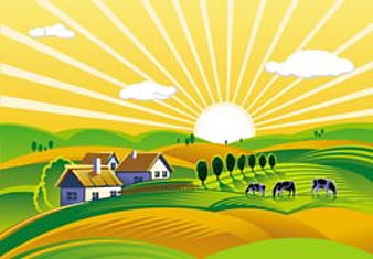 Rural landscape with vineyard eps vector