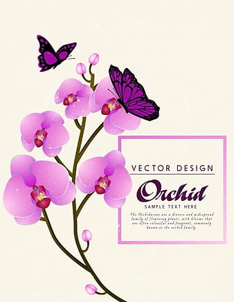 Orquídea fondo violeta mariposa iconos decoración ai eps