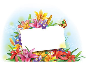 Beautiful lilies art background design  eps vector