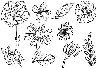 Free Flower Vectors svg ai
