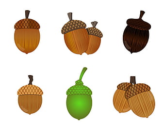 Free Acorn Vector svg ai
