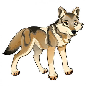 Diseño de lobo de color eps