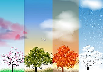 Tree with four seasons vector eps