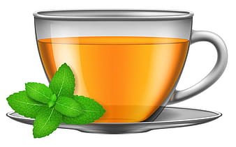 Tea mint with glass cup vector eps