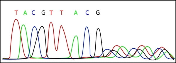 Electropherogram svg vector