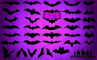 Chauves-souris vectorielles csh ai