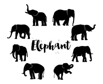 Free Elephant Silhouette Set eps vector