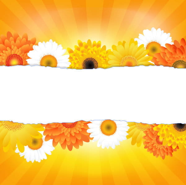 Sunflower elements background vector eps