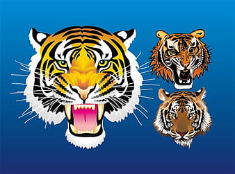 3 tiger head eps vector