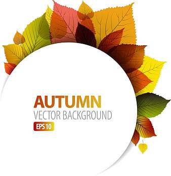 Design Vector Graphics Autumn Leaf 1 eps