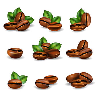 coffee beans set realistic vector eps