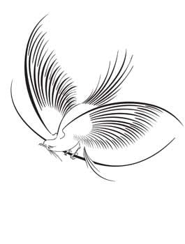 Patterns Vector 9 ai